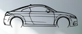 Audi - TTS 8S 2015 - Print Your Ride